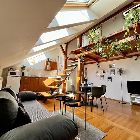 Captain Misha'S Place Belgrad Exterior foto