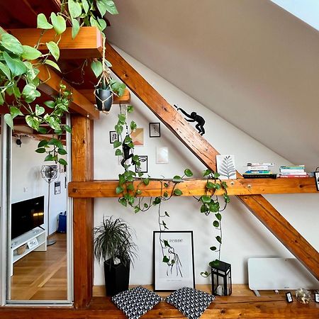 Captain Misha'S Place Belgrad Exterior foto